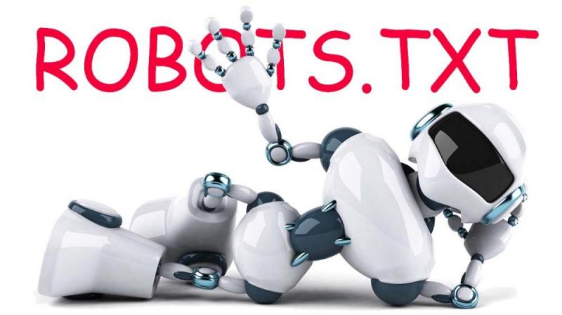 Что такое robots.txt и зачем он нужен в Благовещенске